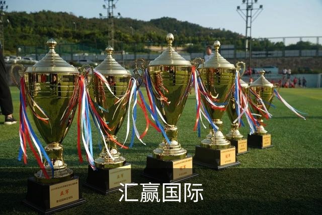关于汇赢国际